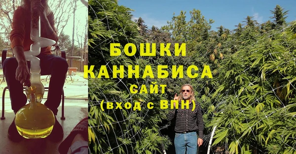 бутират Иннополис