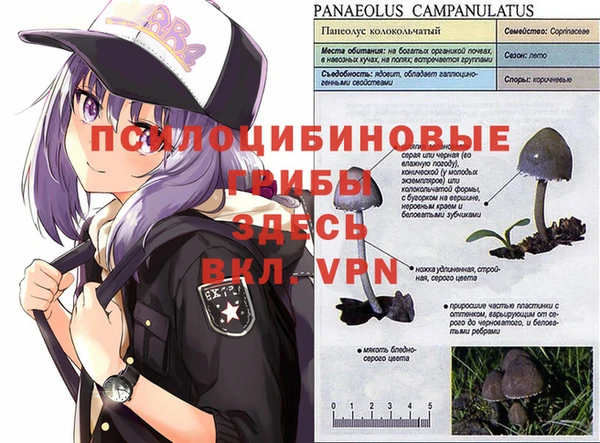 ешки Киренск