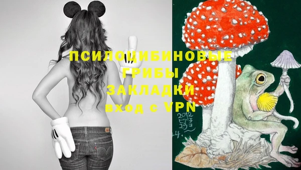 2c-b Кинешма