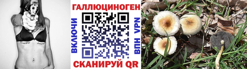Купить где Белогорск Галлюциногенные грибы GOLDEN TEACHER